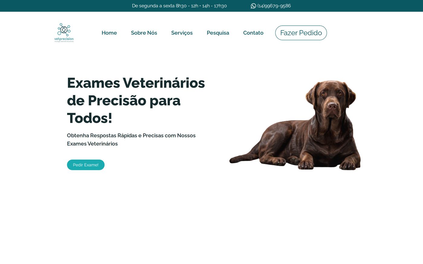 Site do VetPrecision, laboratório de oncologia veterinária